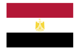 埃及商务签证