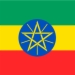 埃塞俄比亚商务签证办理